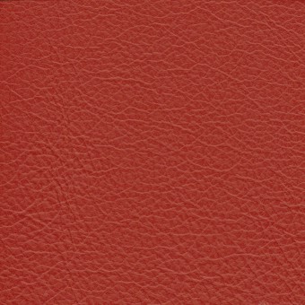 FABRIC Leather Due : Due /  Lipstick